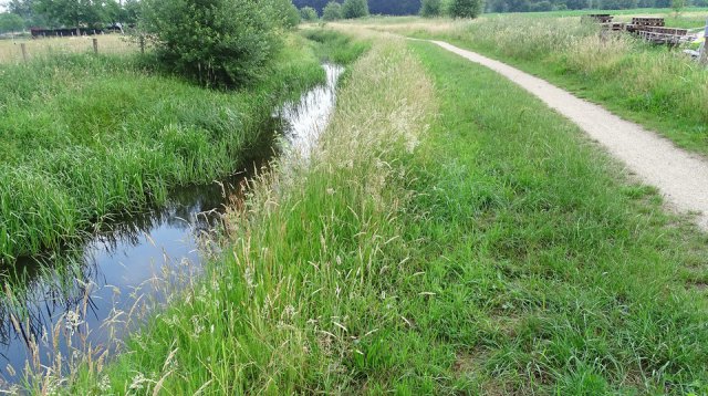 Singels en essen (zondag 10 juni 2018)